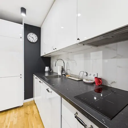 Apartmán Superapart Polna 30 - Blisko Metra Politechnika *